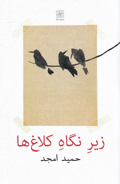 زیر نگاه کلاغ ها(نیلا)*$$$