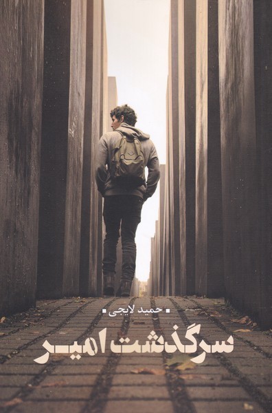 سرگذشت امیر(نقد‌فرهنگ)