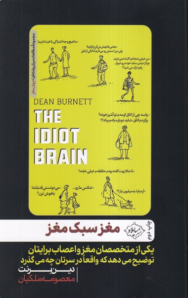 مغز سبک مغز(سایلاو)*