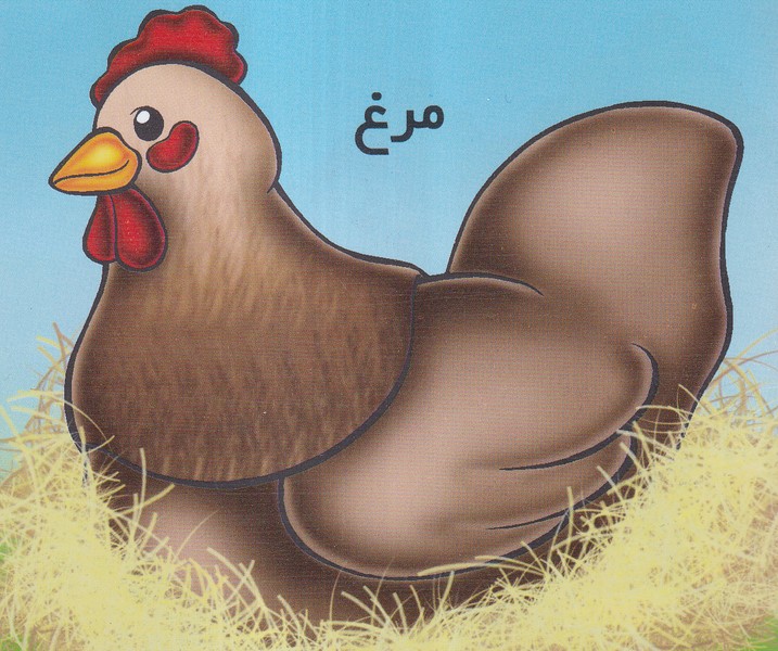آموزش خردسالان(مرغ)خانه ادبیات#