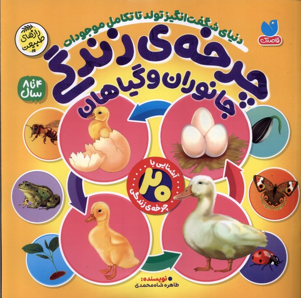 چرخه ی زندگی(جانوران‌وگیاهان)ذکر#