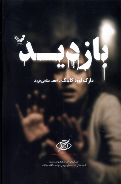 بازدید(تندیس)