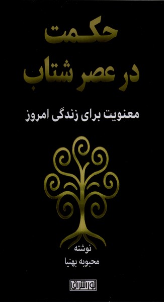 حکمت در عصر شتاب(نوراشراق)