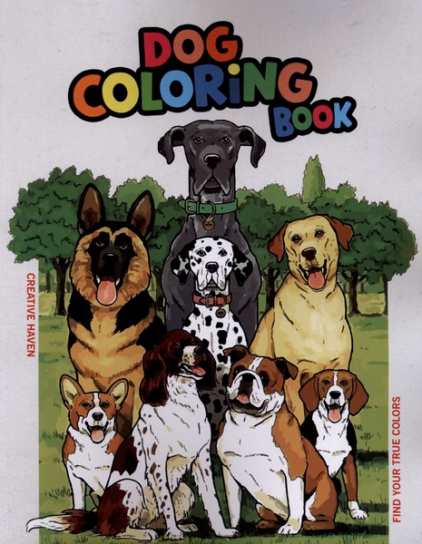 رنگ آمیزی(Dog)حوض‌نقره#