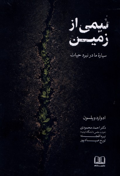 نیمی از زمین(شمشاد)