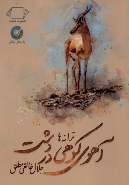 آهوی کوهی در دشت(همیشه)